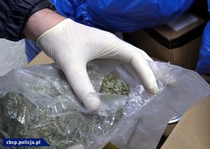 Policjanci przejęli 70 kg marihuany