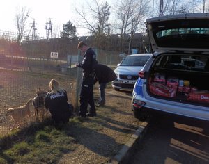 karma dla czworonożnych przyjaciół