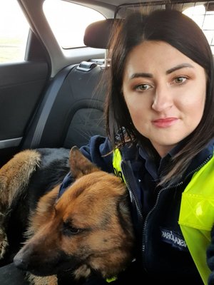 Policjanci zaopiekowali się psem