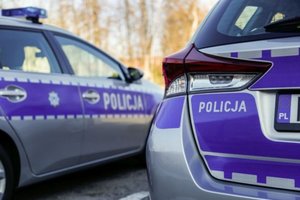 Rozbójnik w rękach włoszczowskich policjantów
