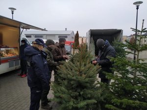 Policjanci i strażnicy leśni sprawdzają legalność pochodzenia drzewek