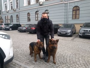dwa psiaki przed Komendą Wojewódzką Policji w Kielcach