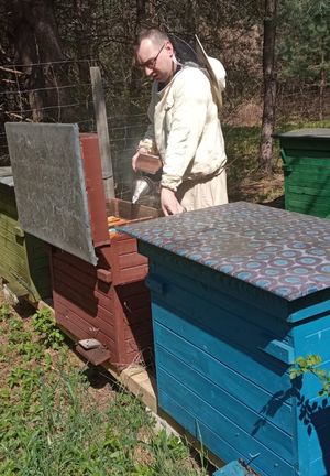 pszczelarz podczas swojej pracy