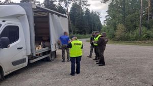 wspólne patrole strażników leśnych i policjantów
