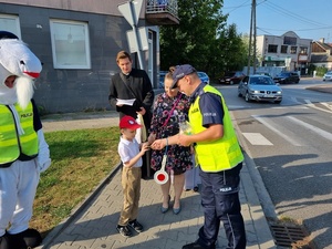 działania Bezpieczna Droga do Szkoły