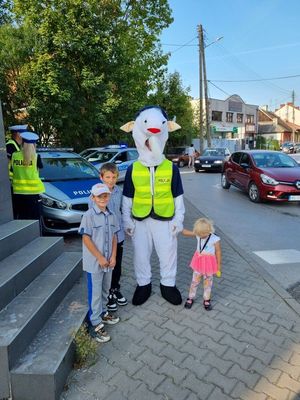 działania Bezpieczna Droga do Szkoły