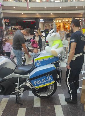 Policjanci w trakcie działań