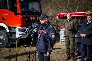 uczestnicy konferencji