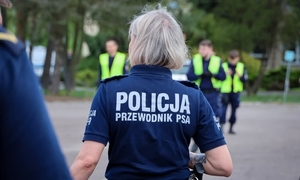 zdjęcie poglądowe