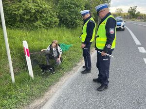 policjanci i ujęty pies w klatce transportowej