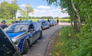 działania