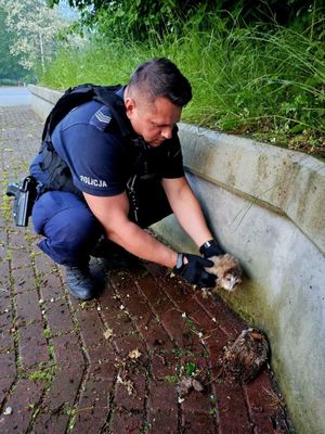 policjant trzymający sowę