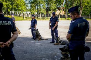 Poznaliśmy najlepszych przewodników i ich czworonożnych partnerów