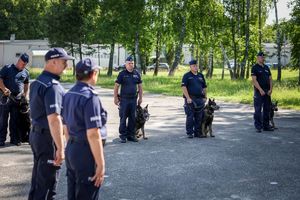 Poznaliśmy najlepszych przewodników i ich czworonożnych partnerów