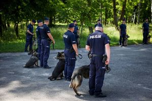 Poznaliśmy najlepszych przewodników i ich czworonożnych partnerów