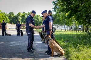 Poznaliśmy najlepszych przewodników i ich czworonożnych partnerów