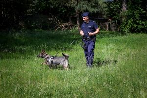 Poznaliśmy najlepszych przewodników i ich czworonożnych partnerów