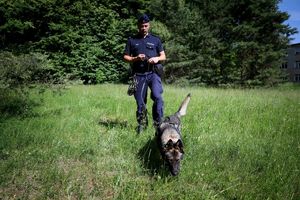 Poznaliśmy najlepszych przewodników i ich czworonożnych partnerów