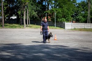 Poznaliśmy najlepszych przewodników i ich czworonożnych partnerów