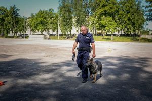Poznaliśmy najlepszych przewodników i ich czworonożnych partnerów