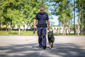 Poznaliśmy najlepszych przewodników i ich czworonożnych partnerów