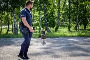 Poznaliśmy najlepszych przewodników i ich czworonożnych partnerów