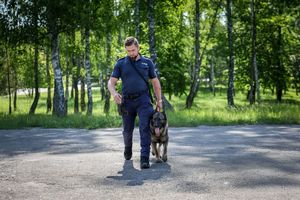 Poznaliśmy najlepszych przewodników i ich czworonożnych partnerów