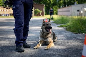 Poznaliśmy najlepszych przewodników i ich czworonożnych partnerów