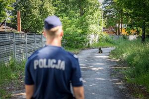 Poznaliśmy najlepszych przewodników i ich czworonożnych partnerów