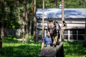 Poznaliśmy najlepszych przewodników i ich czworonożnych partnerów