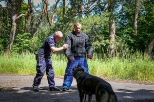 Poznaliśmy najlepszych przewodników i ich czworonożnych partnerów