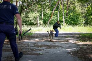Poznaliśmy najlepszych przewodników i ich czworonożnych partnerów