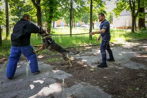 Poznaliśmy najlepszych przewodników i ich czworonożnych partnerów