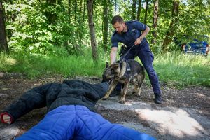 Poznaliśmy najlepszych przewodników i ich czworonożnych partnerów