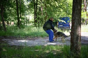 Poznaliśmy najlepszych przewodników i ich czworonożnych partnerów