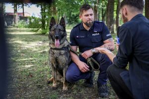 Poznaliśmy najlepszych przewodników i ich czworonożnych partnerów