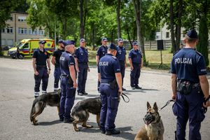 Poznaliśmy najlepszych przewodników i ich czworonożnych partnerów