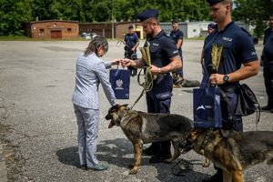Poznaliśmy najlepszych przewodników i ich czworonożnych partnerów