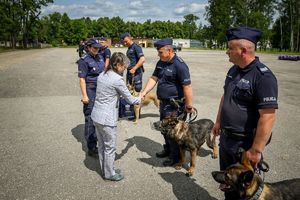 Poznaliśmy najlepszych przewodników i ich czworonożnych partnerów
