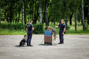 Poznaliśmy najlepszych przewodników i ich czworonożnych partnerów