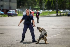 Poznaliśmy najlepszych przewodników i ich czworonożnych partnerów