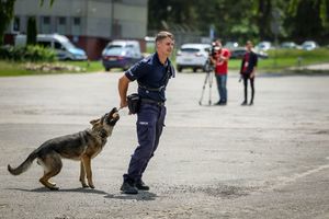 Poznaliśmy najlepszych przewodników i ich czworonożnych partnerów