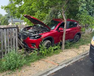auto
