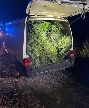 auto wypełnione stroiszem