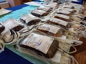 Wakacyjna zbiórka krwi