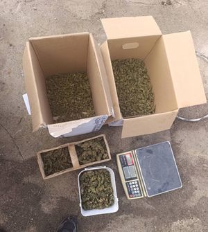 Zabezpieczyli 16 kg narkotyków i nie tylko