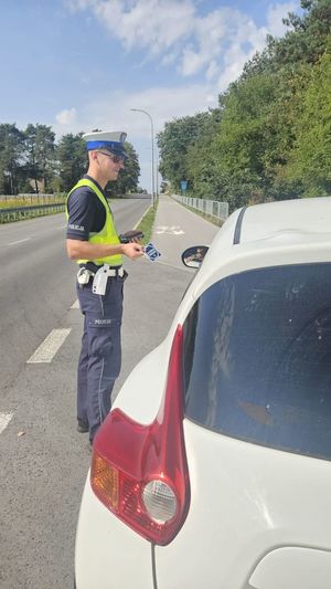 akcja „Mistrzu, zwolnij”