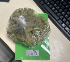 zabezpieczone narkotyki