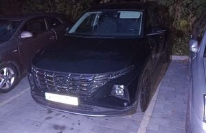 zajawka