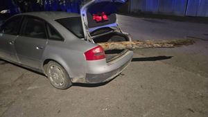pojazd audi